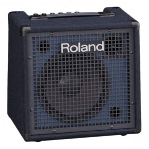 усилитель ROLAND